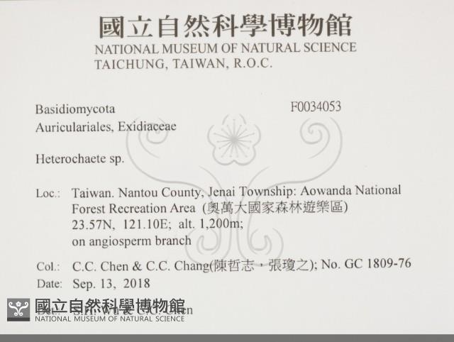 刺皮菌屬藏品圖，第2張