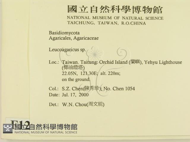 登錄號:F0012053藏品圖，第2張