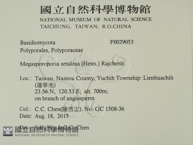 登錄號:F0029053藏品圖，第2張