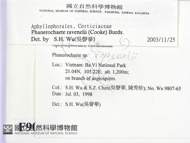 登錄號:F0009053藏品圖，第2張