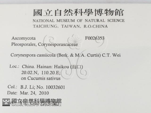 登錄號:F0026353藏品圖，第2張