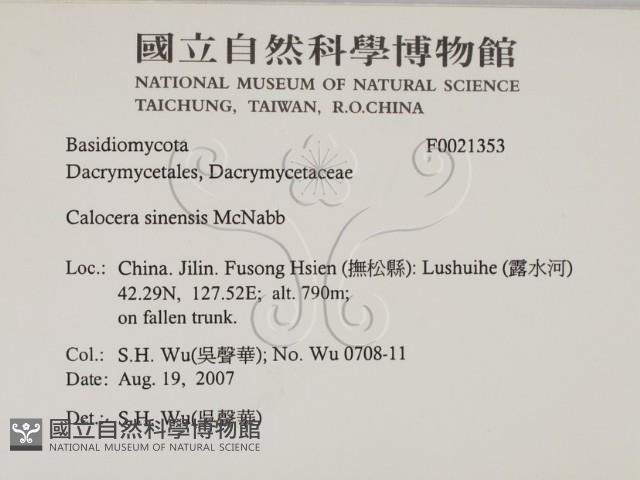 登錄號:F0021353藏品圖，第2張