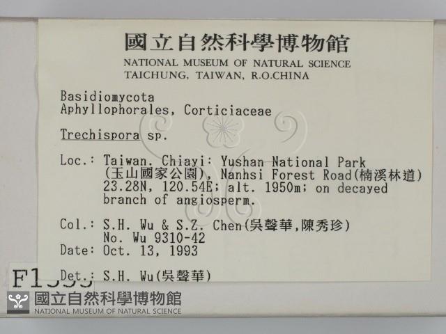登錄號:F0001353藏品圖，第2張