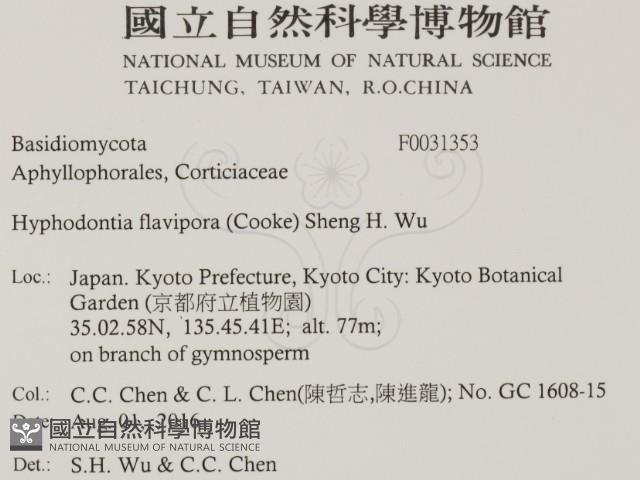 登錄號:F0031353藏品圖，第2張