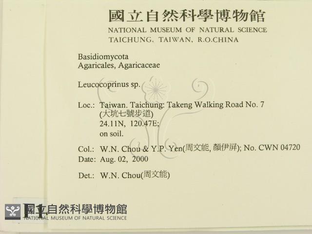 登錄號:F0014353藏品圖，第2張