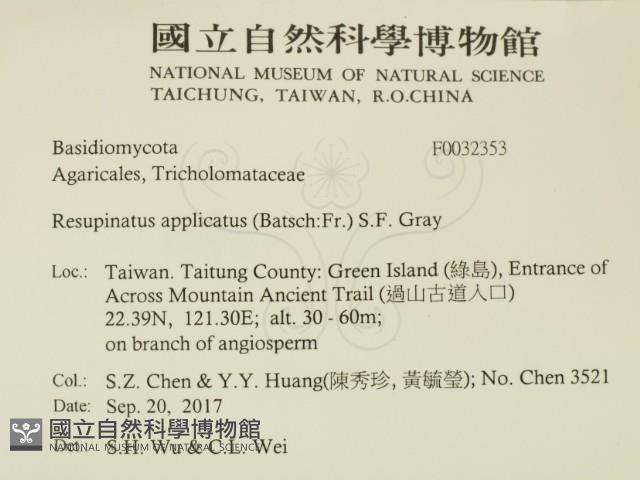 登錄號:F0032353藏品圖，第2張