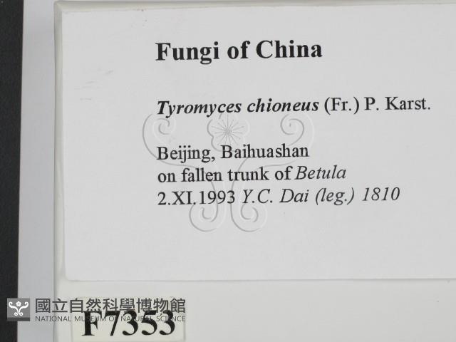 登錄號:F0007353藏品圖，第2張