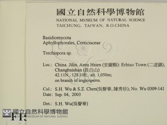 登錄號:F0015353藏品圖，第2張