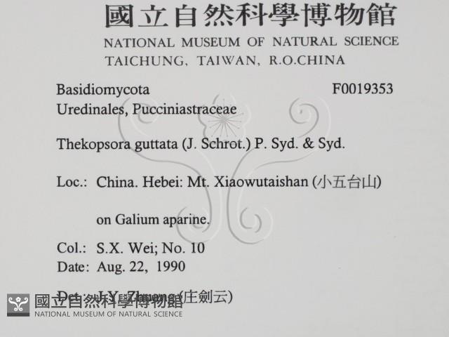 登錄號:F0019353藏品圖，第2張