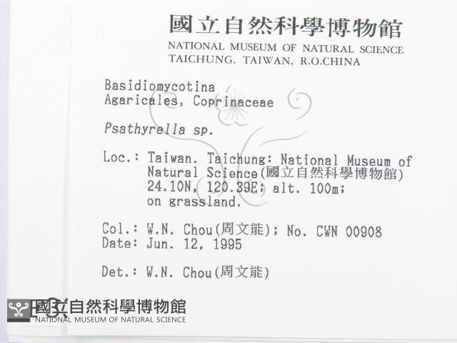 登錄號:F0003353藏品圖，第2張