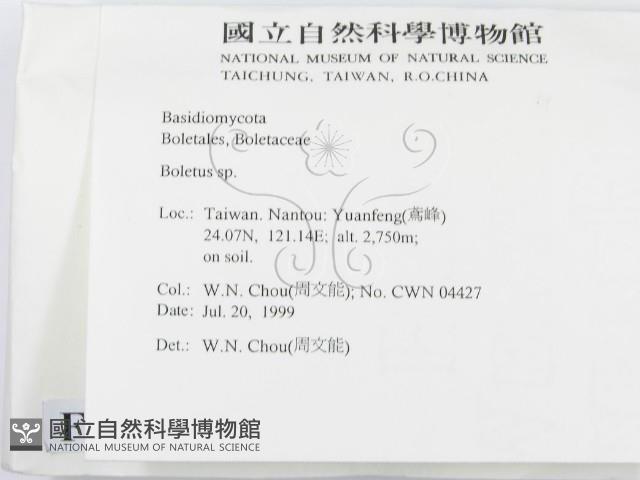 登錄號:F0013353藏品圖，第2張