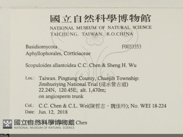登錄號:F0033353藏品圖，第2張