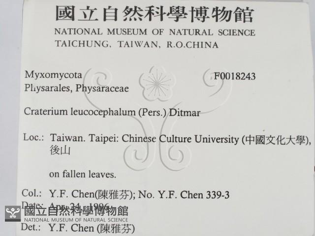 登錄號:F0018243藏品圖，第2張