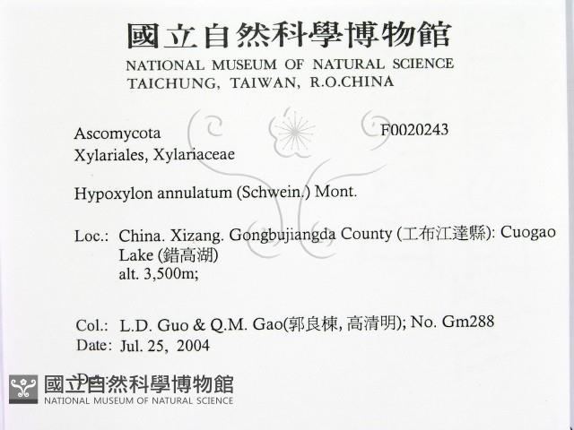 登錄號:F0020243藏品圖，第2張