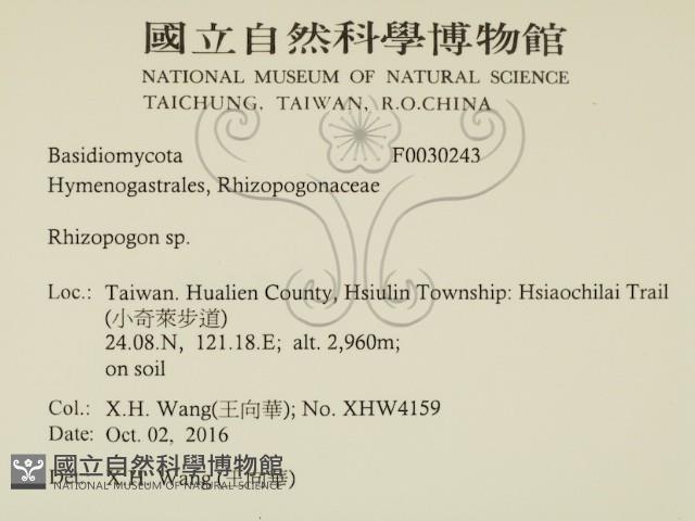 登錄號:F0030243藏品圖，第2張