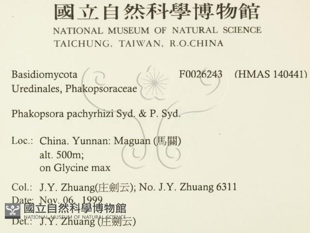 登錄號:F0026243藏品圖，第2張