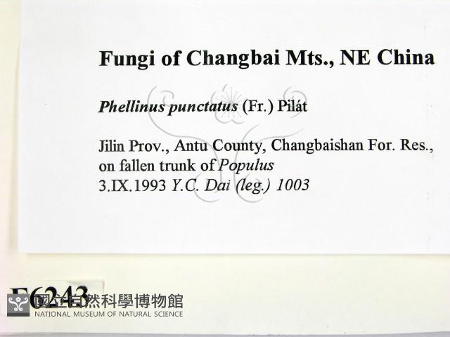 登錄號:F0006243藏品圖，第2張