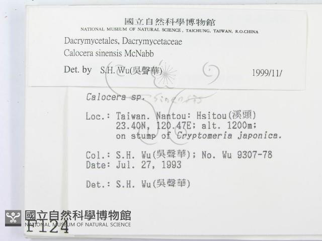 登錄號:F0001243藏品圖，第2張
