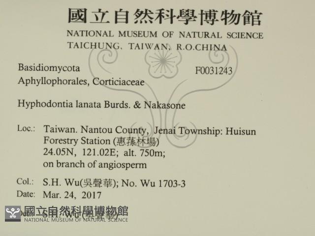 登錄號:F0031243藏品圖，第2張