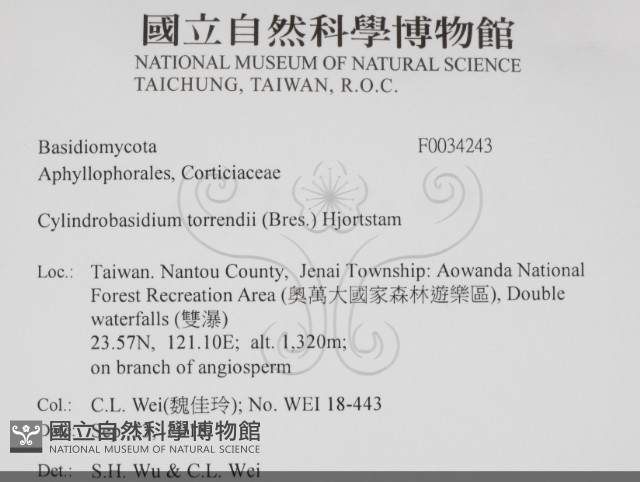 登錄號:F0034243藏品圖，第2張