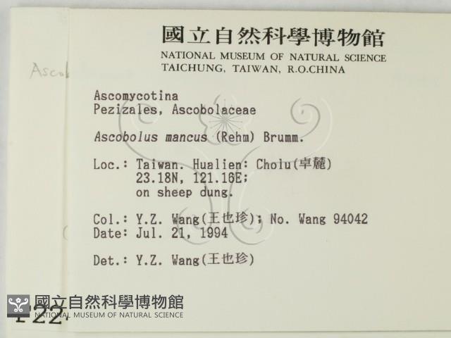 登錄號:F0002243藏品圖，第2張