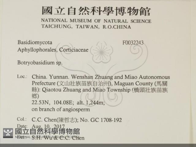 登錄號:F0032243藏品圖，第2張