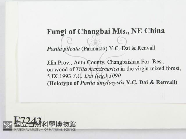 登錄號:F0007243藏品圖，第2張