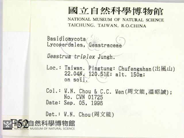 登錄號:F0005243藏品圖，第2張