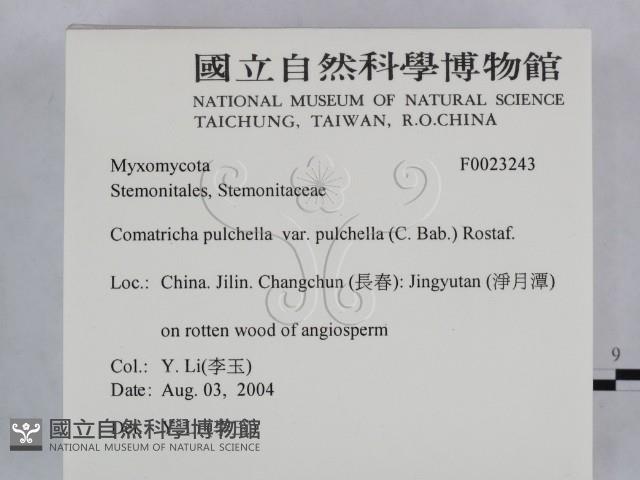 登錄號:F0023243藏品圖，第2張