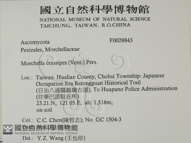 登錄號:F0028843藏品圖，第2張