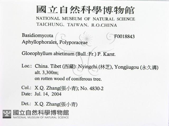 登錄號:F0018843藏品圖，第2張
