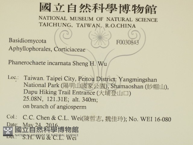 登錄號:F0030843藏品圖，第2張