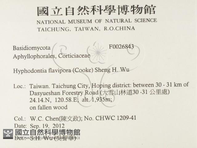 登錄號:F0026843藏品圖，第2張