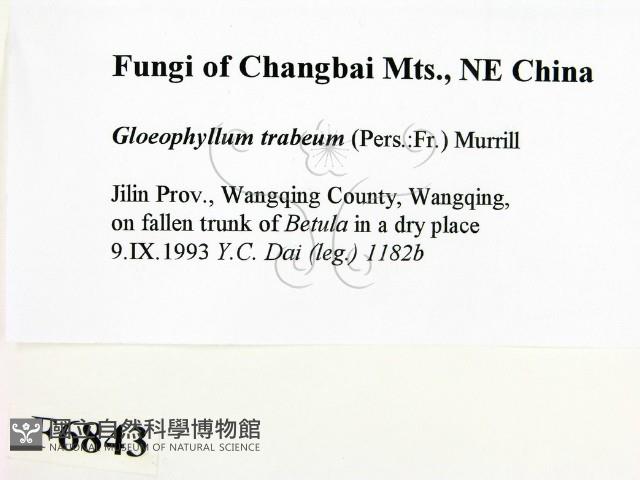 登錄號:F0006843藏品圖，第2張