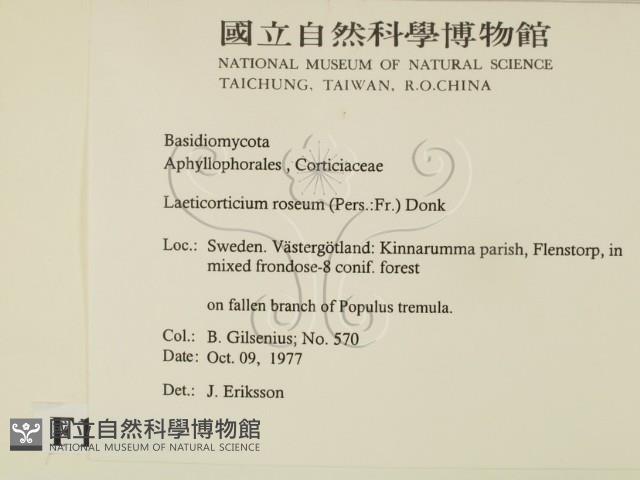 登錄號:F0016843藏品圖，第2張