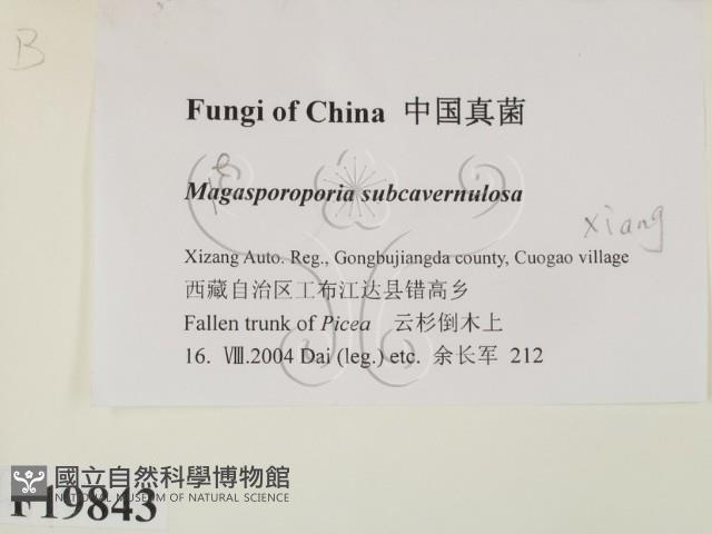 登錄號:F0019843藏品圖，第2張