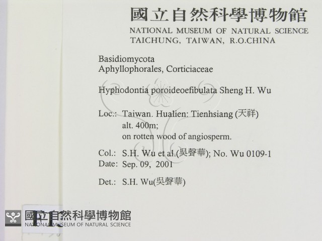 登錄號:F0013843藏品圖，第2張