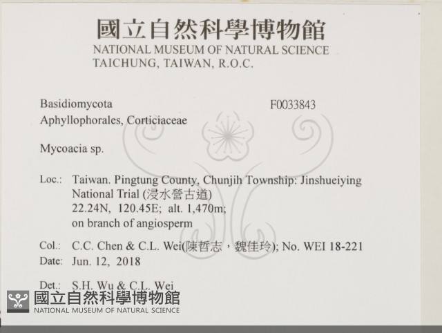 登錄號:F0033843藏品圖，第2張