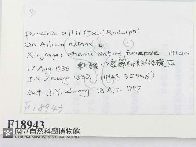 登錄號:F0018943藏品圖，第2張