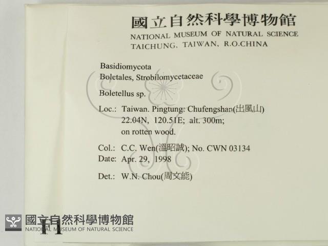 登錄號:F0010943藏品圖，第2張
