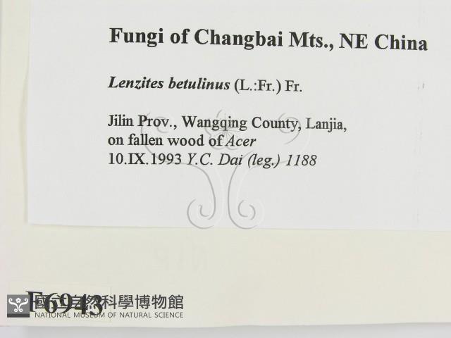 登錄號:F0006943藏品圖，第2張