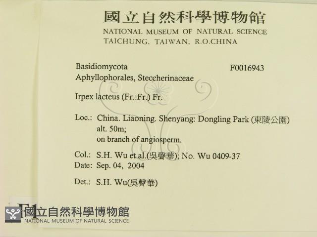 登錄號:F0016943藏品圖，第2張