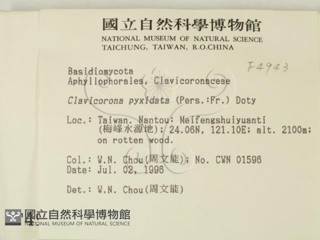 登錄號:F0004943藏品圖，第2張