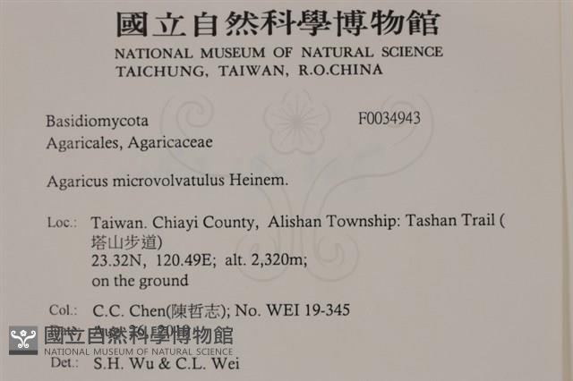 登錄號:F0034943藏品圖，第2張