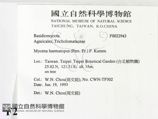 登錄號:F0022943藏品圖，第2張