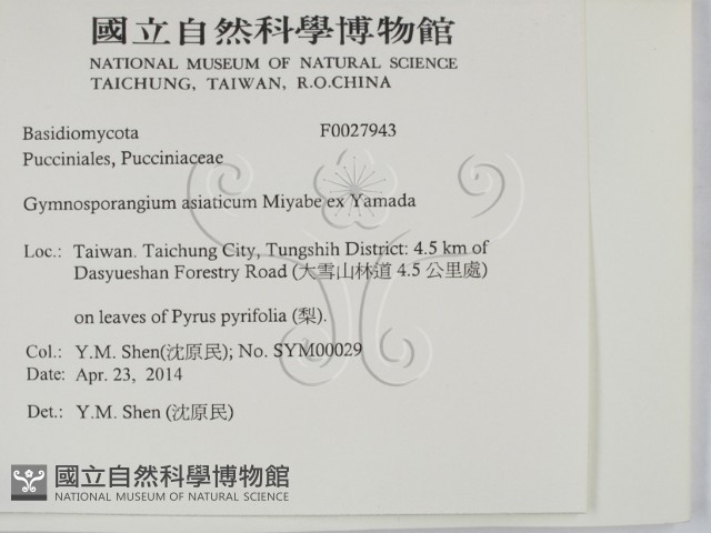 登錄號:F0027943藏品圖，第2張