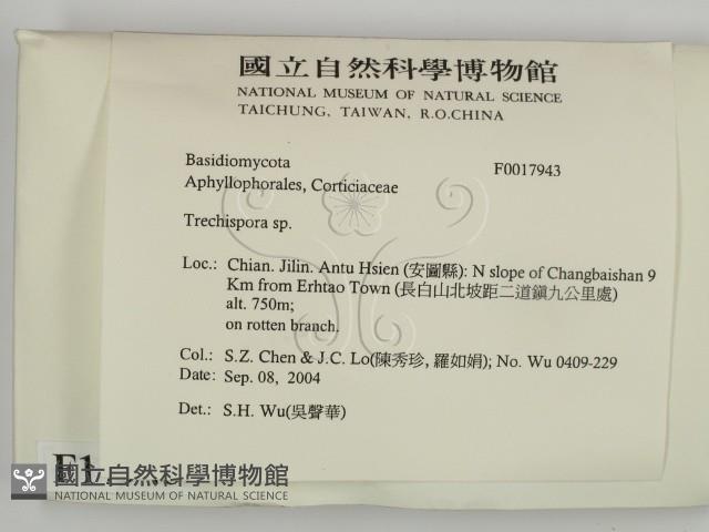 登錄號:F0017943藏品圖，第2張