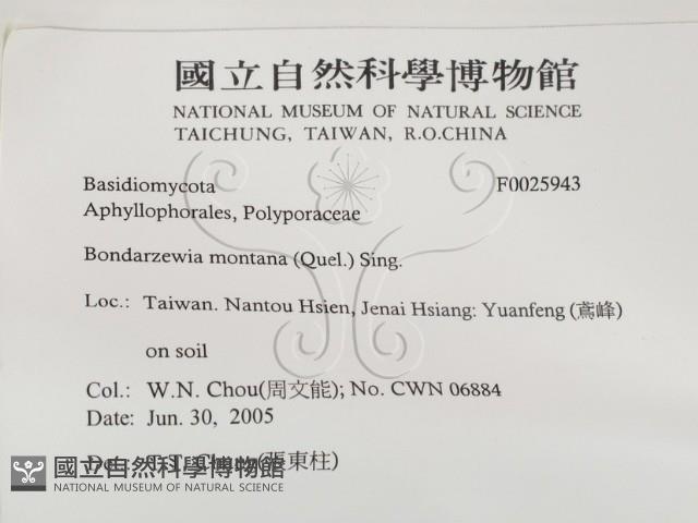 登錄號:F0025943藏品圖，第2張