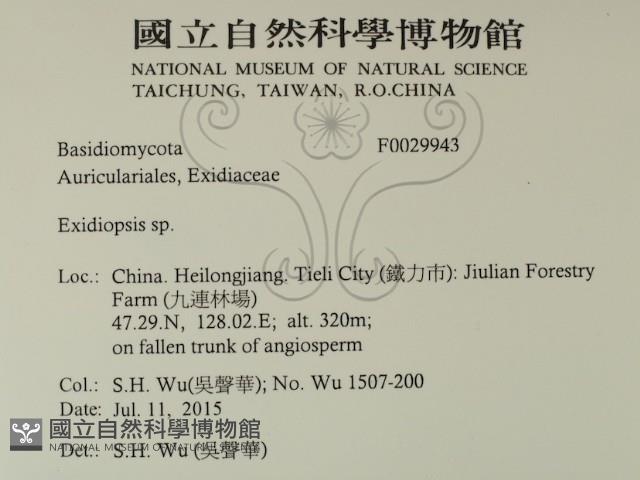 登錄號:F0029943藏品圖，第2張