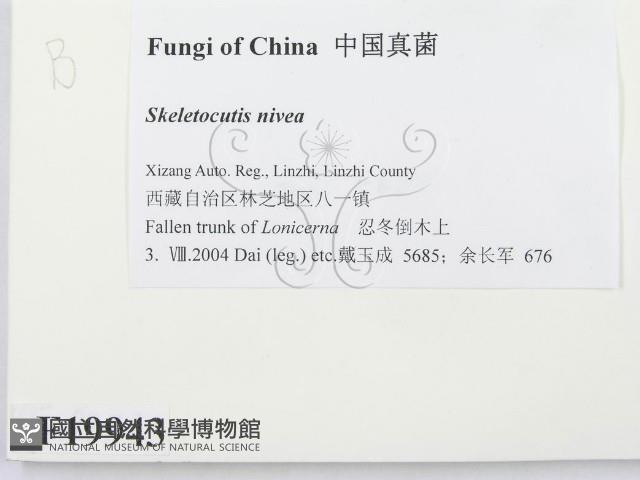 登錄號:F0019943藏品圖，第2張